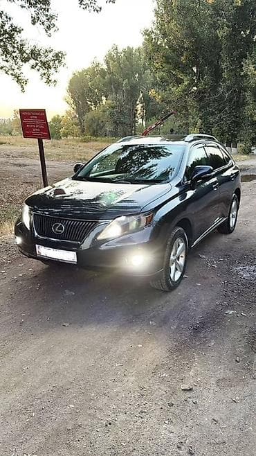 daf 45 150 turbo: Lexus RX: 2010 г., 3.5 л, Автомат, Бензин, Кроссовер — 1