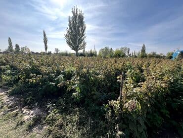 дома чалдовар: Дом, 60 м², 5 комнат — 15