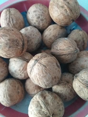 Грецкие орехи в скорлупе - Цельные, натуральные грецкие орехи в