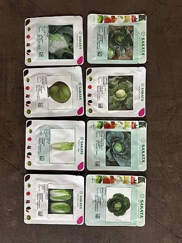 Промышленная химия: Семена овощей: Брокколи — 1