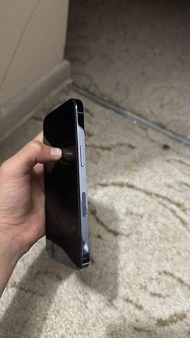 canon 1000d: IPhone 13 Pro, Б/у, 256 ГБ, Sierra Blue, Чехол, 84 % — 4