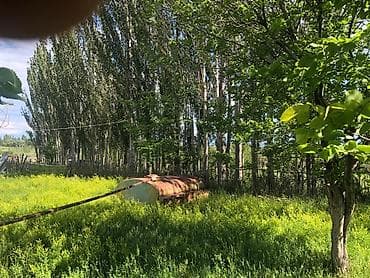 яблоневый сад: 50 соток, Для сельского хозяйства, Красная книга — 3