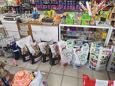 Зоотовары: Зоотовары для собак и кошек — большой выбор в одном месте Оформляем — 6