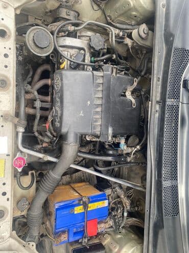 runx alex: Toyota Platz: 2001 г., 0.1 - engine capacity л, Автомат, Бензин, Седан — 1