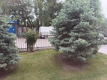 Недвижимость: 2 комнаты, 65 м², Элитка, Золотой квадрат Элитка, 1 этаж — 4