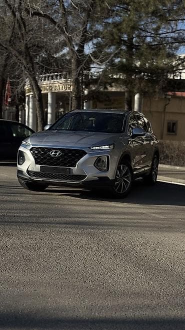 santa fe: Hyundai Santa Fe: 2019 г., 2.2 л, Автомат, Дизель, Кроссовер — 9