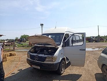 vw t4: Пассажирский микроавтобус Mercedes‑Benz Sprinter (длинная база — 10