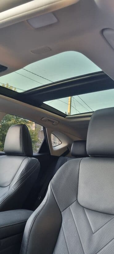 levinson: Lexus NX: 2022 г., 2.4 л, Автомат, Бензин, Кроссовер — 4