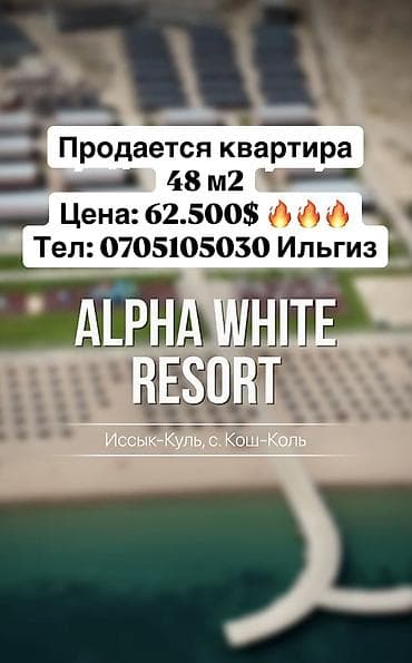 квартиры за 20000: 2 комнаты, 48 м², Индивидуалка, 2 этаж, Готовая ПСО (под самоотделку) — 1