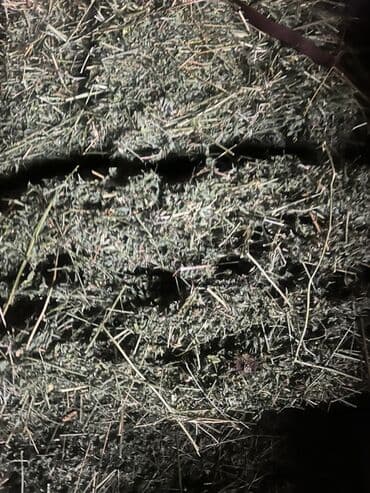 продаю кролов: Сено в тюках - Заготовлено в стандартные прямоугольные тюки, удобные — 3