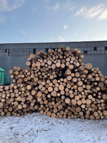 толстолоб оптом: Лес Кругляк Сосна Карачай продаю оптом и в розницу дешево доставка в — 1