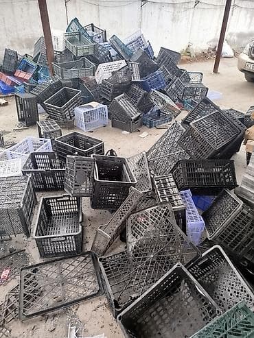 купить бокс для собаки: Пластиковый Ящик, Б/у — 4