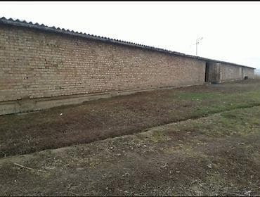под кошару: Farm КРС, 55 соток, Действующий, Частично с оборудованием, Электричество, Скважина — 3