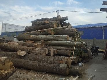Кровля крыши: Кровля крыши — 2