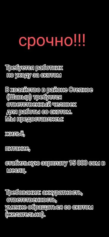 работа бишкек офицантка: Требуется Скотник, Оплата Ежемесячно, Питание — 1