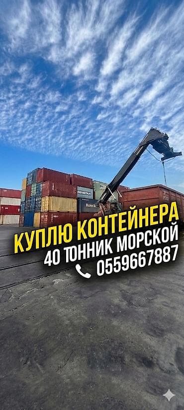 индюки оптом: ​КУПЛЮ КОНТЕЙНЕРЫ (20т, 40т, 45т) 📥 ​Срочный выкуп в любом количестве! — 1