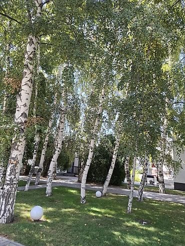 детский комната: Срочно требуется Воспитатель и няня Адресс Курчатова 107/2.Хорошие — 2