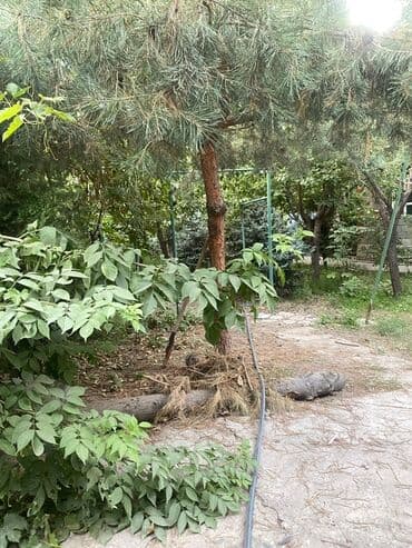 участок дом кант: 300 м², 5 комнат, Парковка, Подвал, погреб, Утепленный — 7