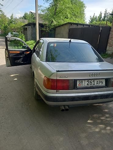 карандо муссо: Audi 100: 1992 г., Седан — 1