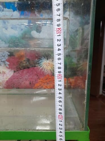 компресор для аквариума: Продаю аквариум — 2