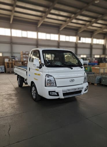 Легкий грузовик, Hyundai, Стандарт, До 1 т