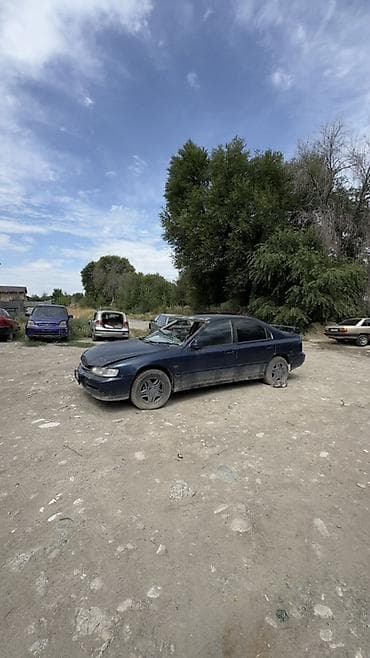 Продажа авто: Honda Accord: 1995 г. — 2