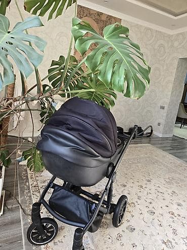 Коляски: Детская коляска Anex m/type (люлька), цвет черный. Особенности и — 3