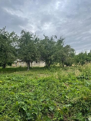 30 соток, Для сельского хозяйства at lalafo.kg 30 соток, Для сельского хозяйства