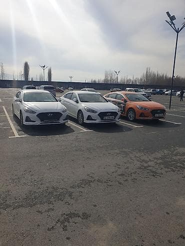 лабовое стекло спринтер: Hyundai Sonata: 2019 г., 2 л, Автомат, Газ, Седан — 10