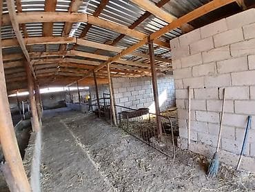 Коммерческая недвижимость: Farm КРС, 18 соток, Электричество — 7