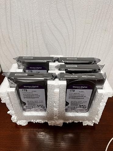 внешний жесткий диск бишкек цена: Накопитель, Новый, Western Digital (WD), HDD, 512 ГБ, Для ПК — 2