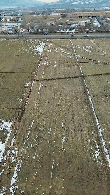 участок под кашара: 31 соток, Для бизнеса, Тех паспорт — 2