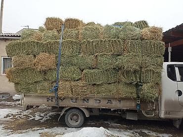 Клевер 1укос аралаш сено доставка есть зелёный тюки плотные