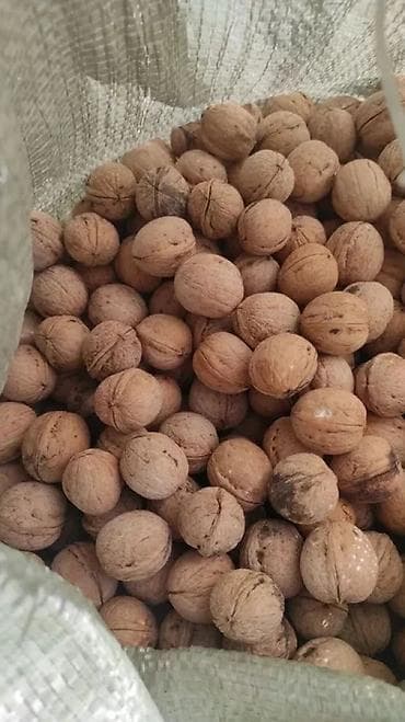 Продаю грецкие орехи. В наличии 2 мешка. Район Кызыл-Аскера Цена