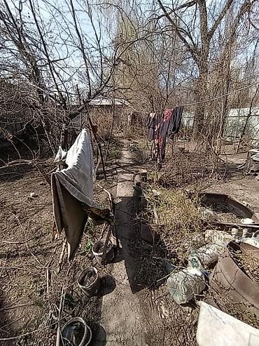 Продаю. Пол — 5