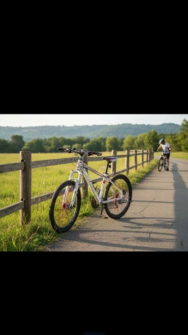 Горный велосипед, Рама M (156 - 178 см), Сталь