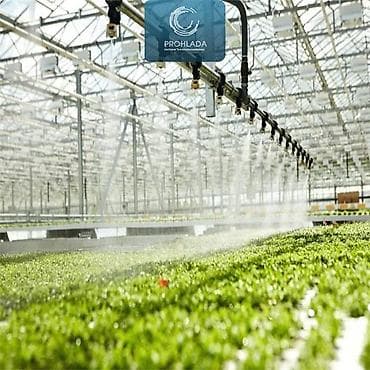 жидкий туман: 🌱 6 причин начать использовать систему тумана для вашей теплицы! 🌫️ — 1