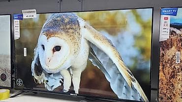 айфоны оптом: Телевизоры оптом и в розницу Samsung, LG, Hisense, Konka, Yasin — 6