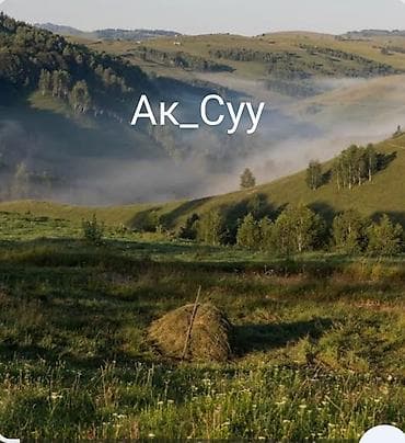 мин булак: 5 соток, Курулуш, Кызыл китеп — 1