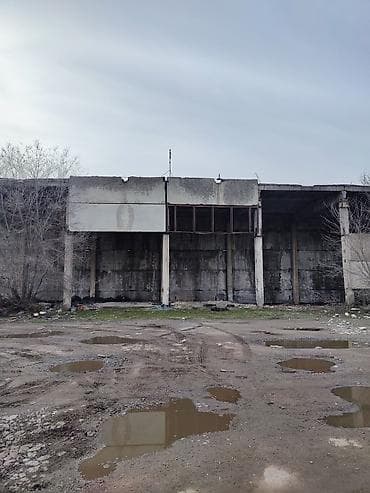 Жер тилкелери: 100 соток, Курулуш, Техпаспорт, Сатып алуу-сатуу келишими, Кызыл китеп — 8