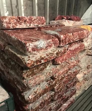 лекарство для животных: Фарш говядина для собак и кошек свежий без запаха и мелких костей — 4