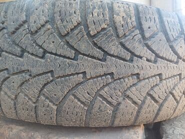 шины ниву: Шины 175 / 75 / R <13, Зима, Б/у, 1 шт, Легковые, Россия, Kama — 1