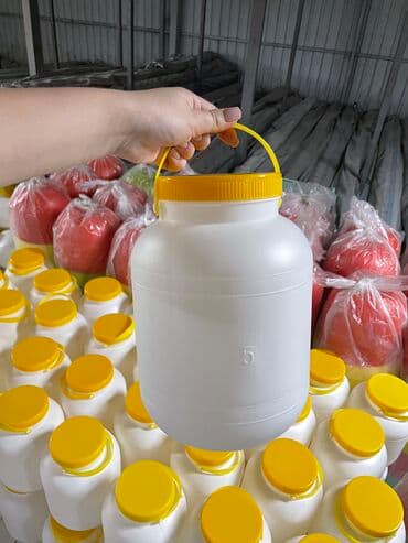 Бидон пластиковый 2 литров 2л - 40 сом 3л - 75 сом 5л - 80 сом at lalafo.kg Бидон пластиковый 2 литров 2л - 40 сом 3л - 75 сом 5л - 80 сом