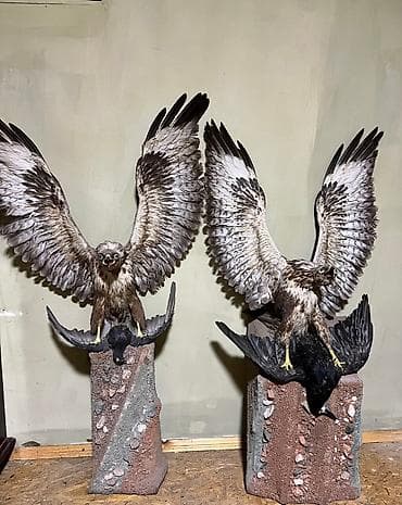 зоомагазин крысы: Подарки и сувениры — 1