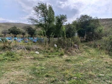 дом ак бешим: Дом, 70 м², 3 комнаты, Собственник, Старый ремонт — 20