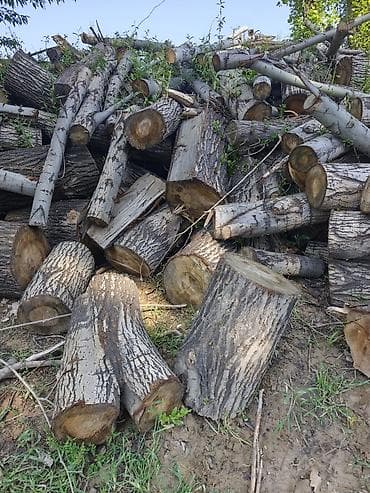 каражыра уголь цена бишкек: Отун Терек, Өзү алып кетүү — 3