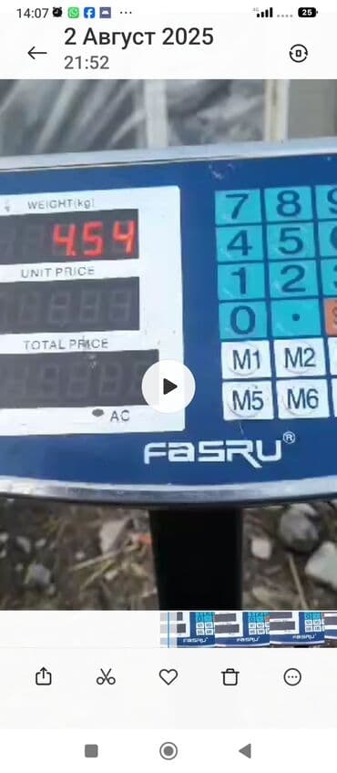 рамка для картины бишкек: Домашние куриные яйца - Разные оттенки скорлупы: от светло-кремового — 2