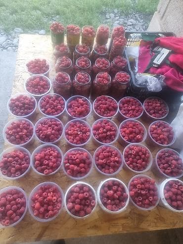 Местная малина сладкий сочный для варенья на заморозки на зиму лучшее — 6