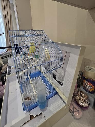 Клетка для волнистых попугаев с комплектом аксессуаров