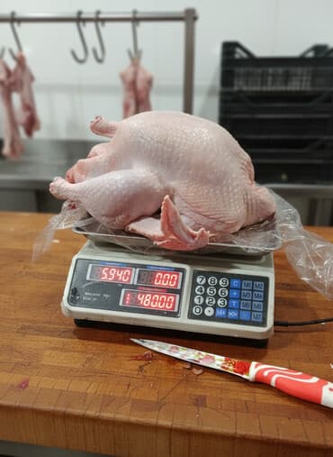 ит ош итер: Продаю тушки индюков, вес от 6 до 8кг — 1